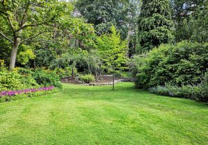 Optimiser l'expérience du jardin à Blacourt