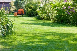 travaux jardin et paysage Blacourt